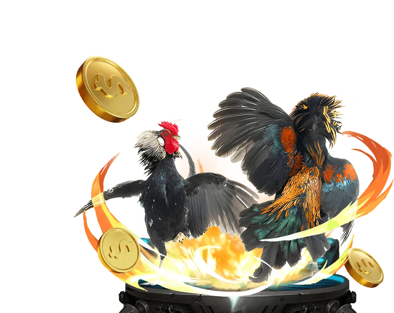 Người chia bài trực tiếp tại sòng bạc ggg88